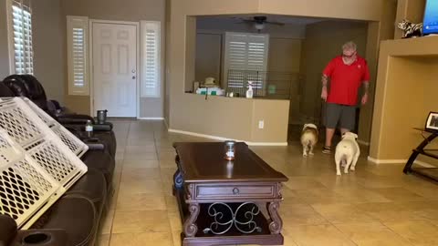 BigDog Edison being wild and crazy