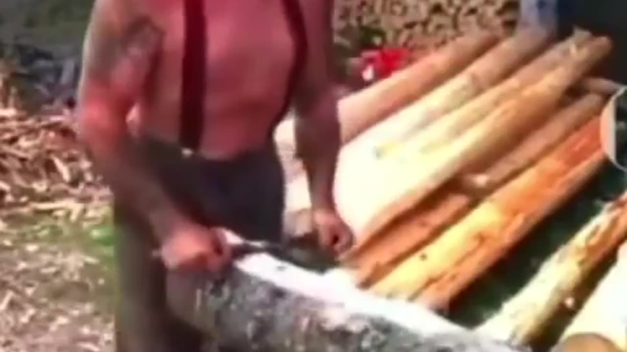 Welcome to the fight