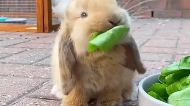 COMIDA Hora de encher a barriguinha😍💛😍💛