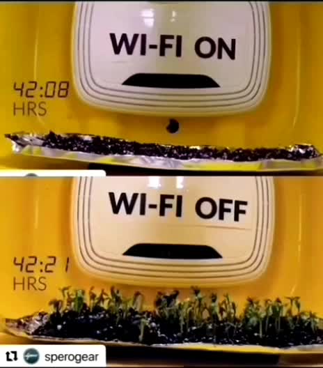 Well this is scary. WIFI prevents plant growth