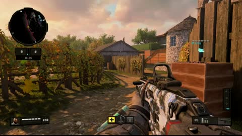 Call of Duty Black Ops4 (Ps4) Team Death Match87