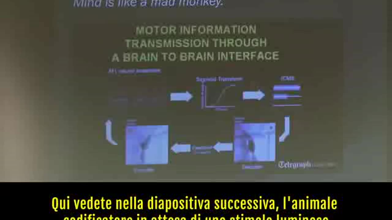 CHARLES MORGAN - PsicoNeuroBiologia e Guerra