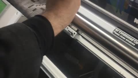 Desperately solving crossword on pole