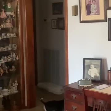 Watch this family of 5 generations... Ages 5,23,44,74,94