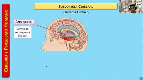 SEMESTRAL ADUNI 2024 | Semana 02 | Psicología | Lenguaje | Geometría