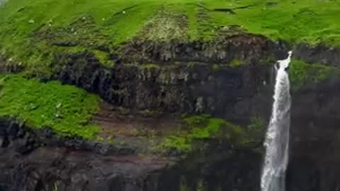Nature is amazing