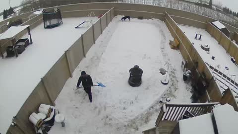 Great Dane Loves snow.