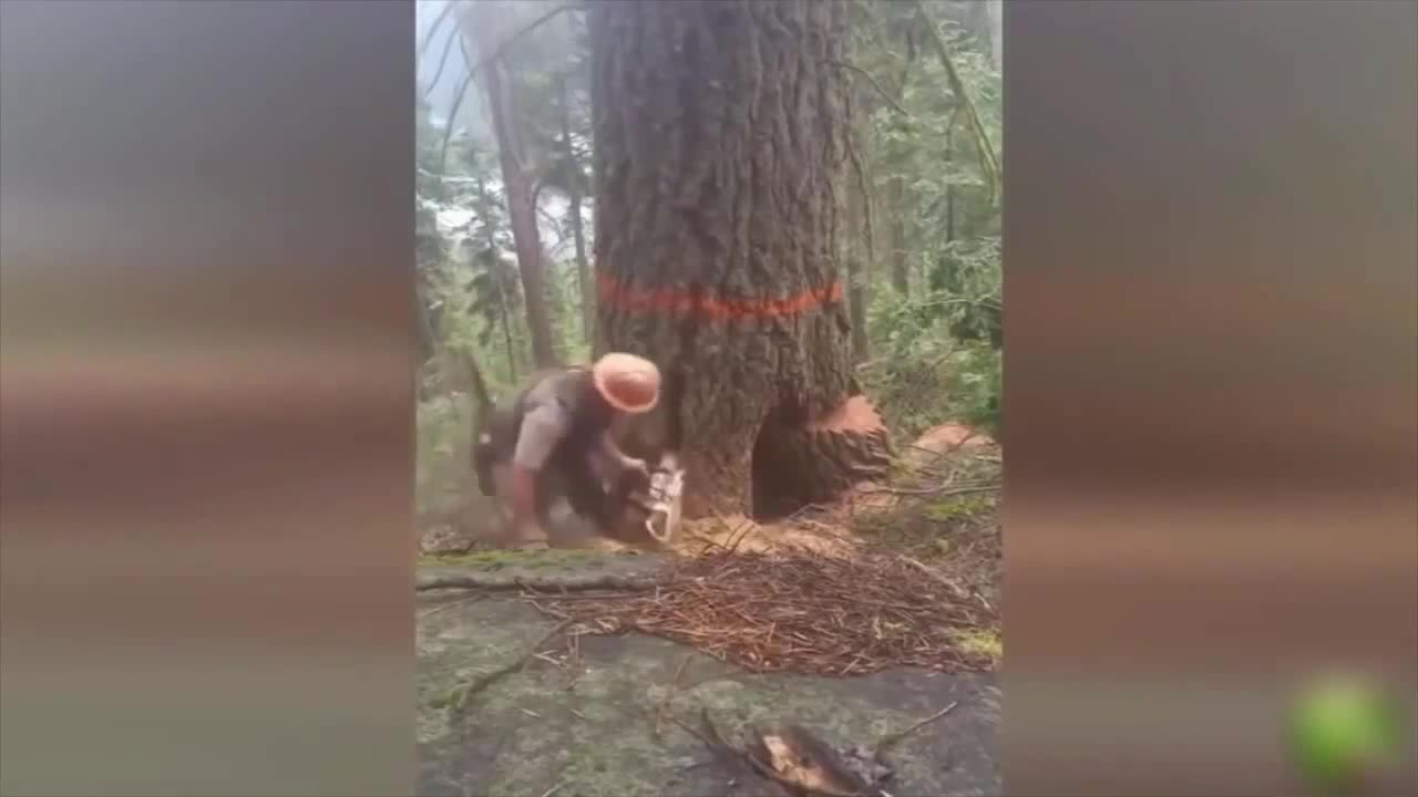 Funny Workers | Fail Compilation | Try Not To Laugh