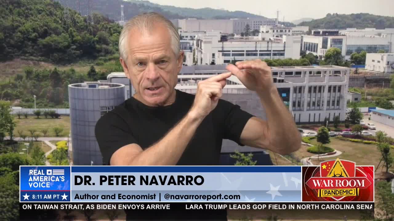 Navarro Says China's Plan to Take Over World Goes Through Blockchain