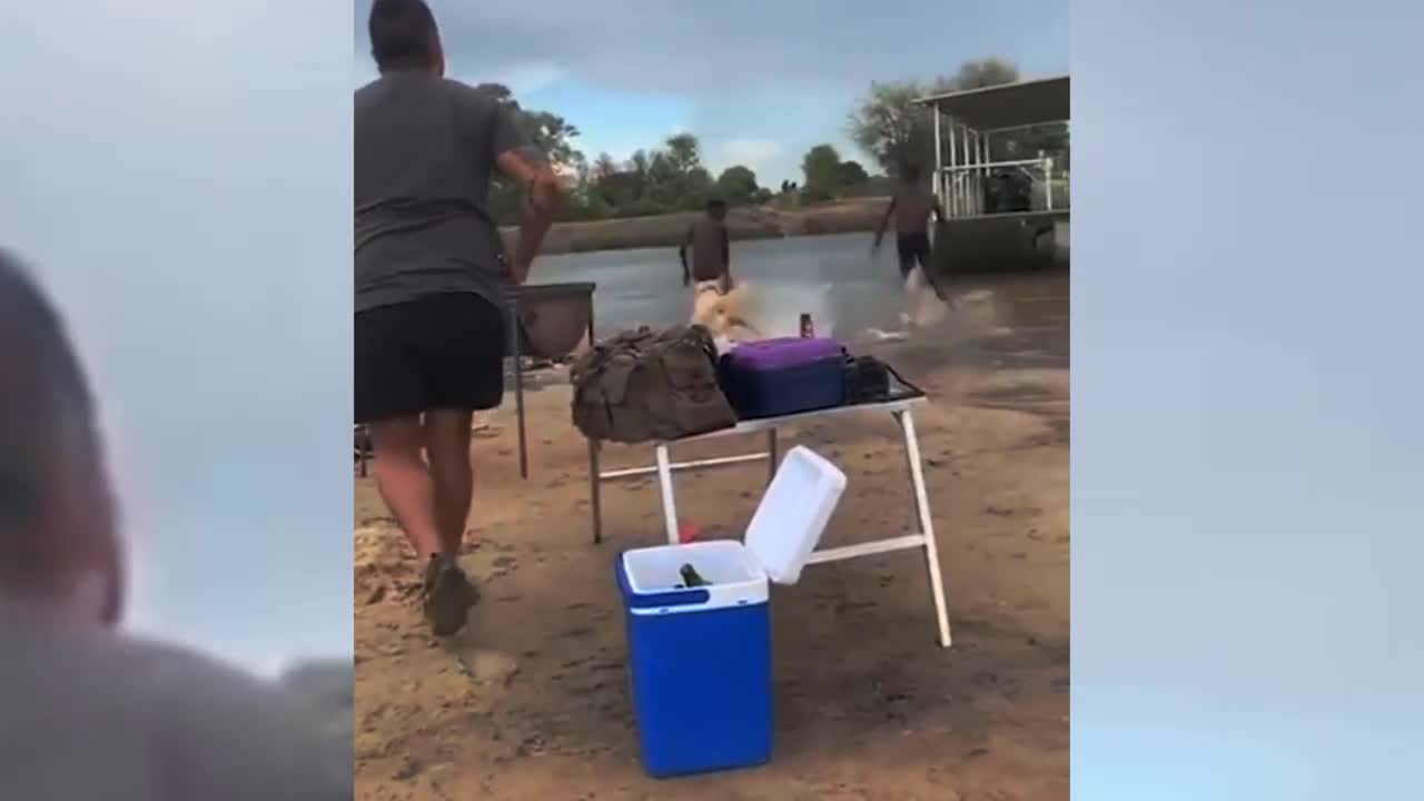 Animal heroes protecting their owners - part 02