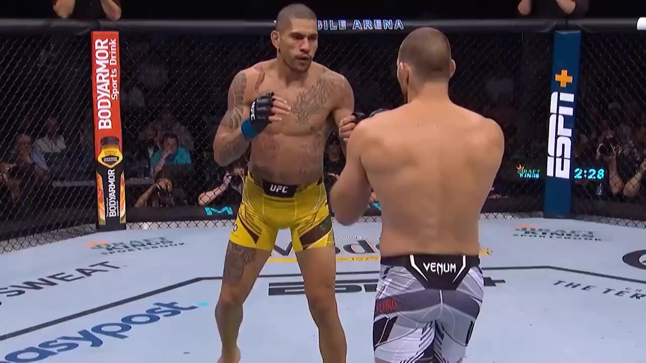 Top ufc finishes of 2022