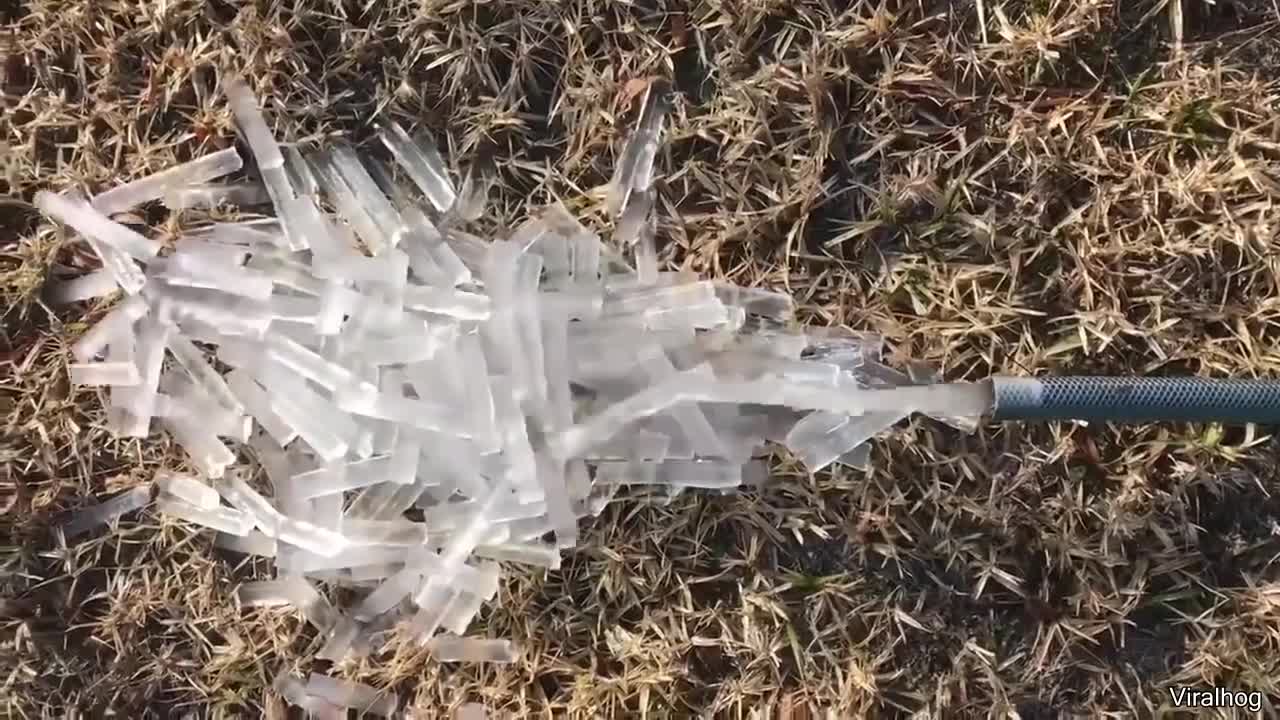 A Giant Mosquito Tornado