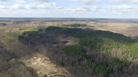 Natural view of the forest from the top