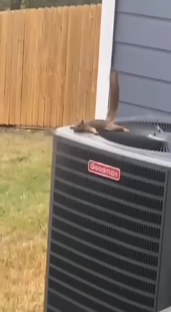 How hot was it again? 🤣