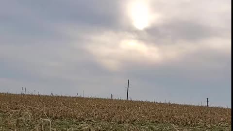 4660 Nereus asteroid CAUGHT ON CAMERA