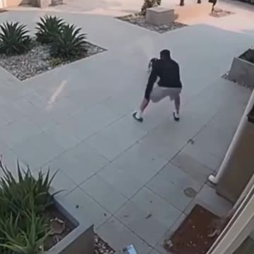 THE MAN SAVED THE KITTEN