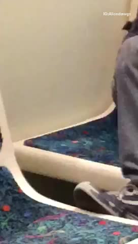 Guy has chinchilla in lap on subway