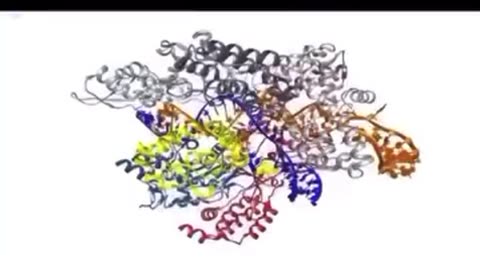 Why does the World Economic Forum want to alter our genes?