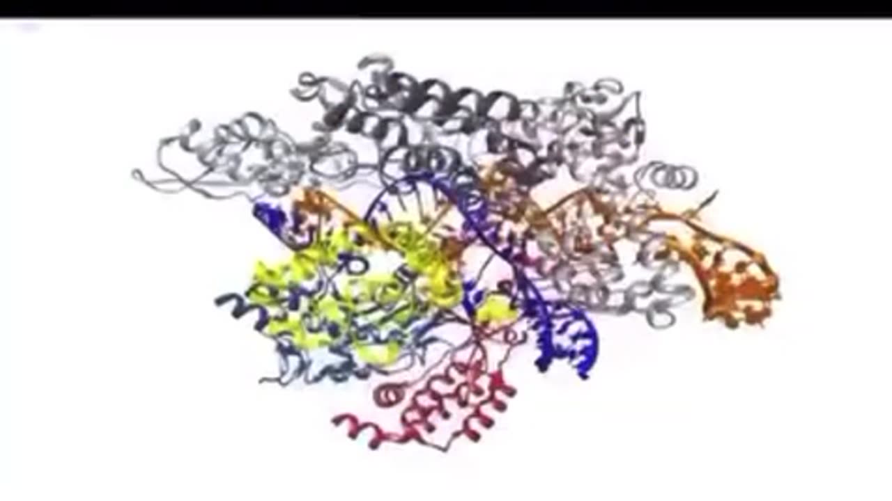 Why does the World Economic Forum want to alter our genes?