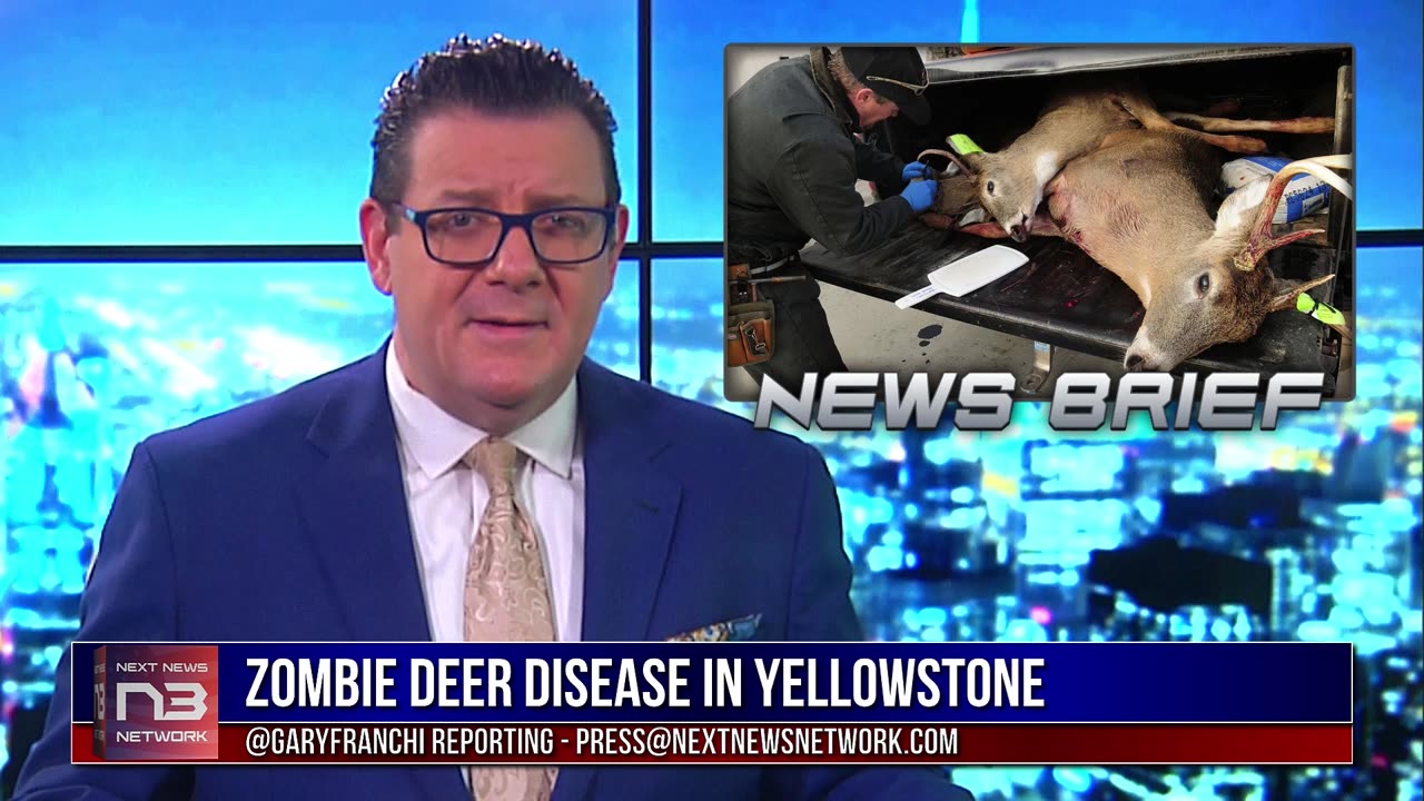 Zombie Deer Disease Hits Yellowstone, Humans Next?