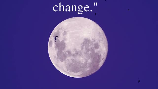 "Intelligence is the ability to adapt to change."
