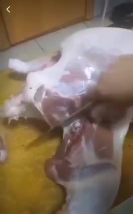 Das Huhn war mit dem MRNA-Impfstoff von Pfizer geimpft worden.