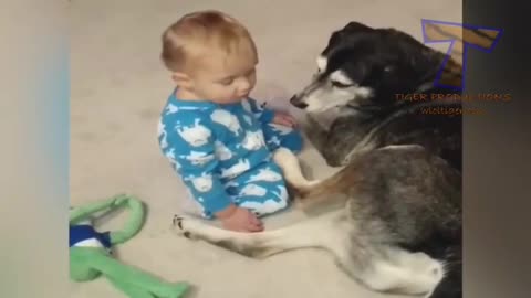 Funny baby videos to keep you entertained, latest 2022