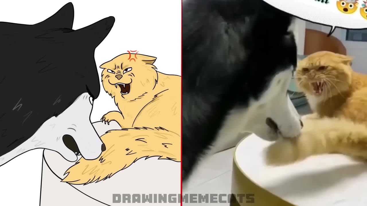 😂Cat Memes: New Skibidi Toilet Cat and Funny Dogs (new and remastered) 😅 Trending Funny Animals 😹