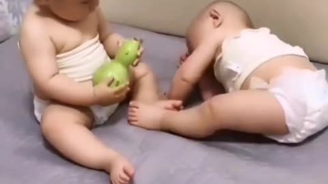 Cuty babys fight for a toy this fight is so amazing