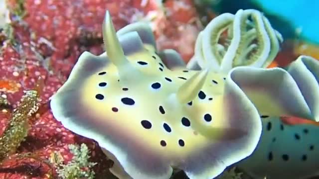beautiful underwater