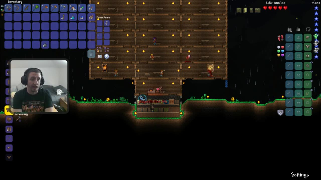 Terraria with Plagueofkitties