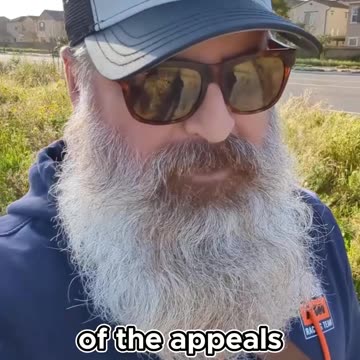 The Unstoppable Success of Trump's Legal Appeals