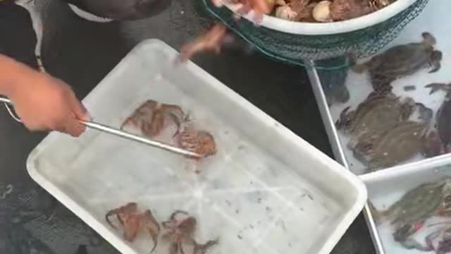 Do you love seafood?