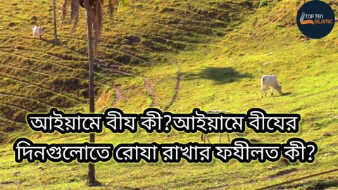 আইয়ামে বীয কী?আইয়ামে বীযের দিনগুলোতে রোযা রাখার ফযীলত কী?