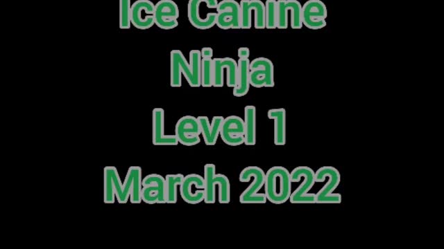 Aurora Ice Canine Ninja Level 1 March 2022 ☘️Green obstacles☘️