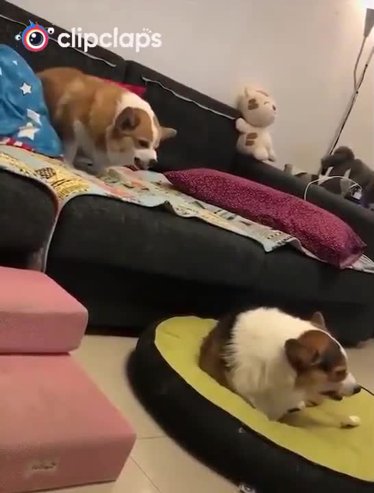 I didn't understand this fight very well