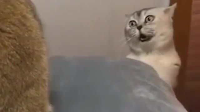 Hey, I want to talk to you