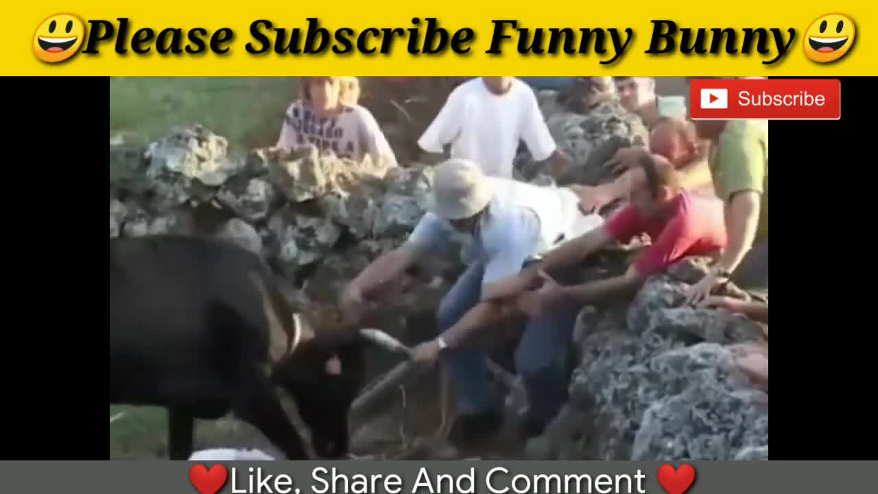 Best funny videos 2020 Most awesome bullfighting festival