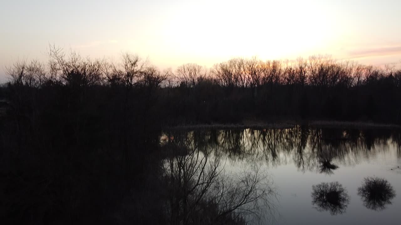 Neighborhood Pond from a Drone