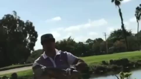 Iguana Chase
