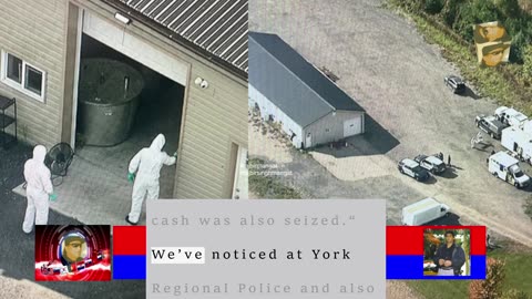 York Regional Police bust illegal magic mushroom operation