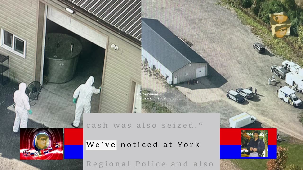 York Regional Police bust illegal magic mushroom operation