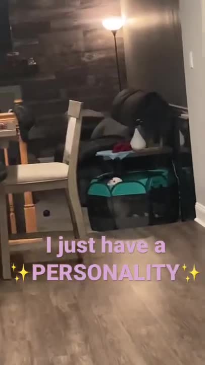 1.That you can’t handle😅