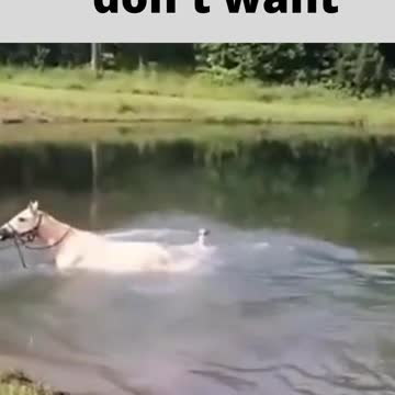 bathe yourself and I don't want