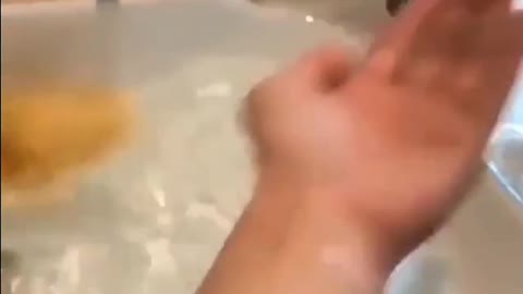 DUCK ENJOY IN BASEN