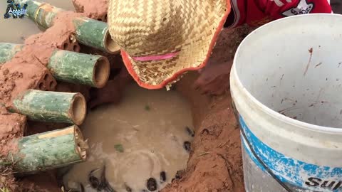 The first Trap Can Catch Alot of fish & Crabs And Eels By 5 Bambo With deep Hole