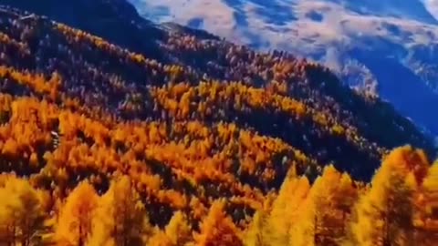 #Useful#Beautiful#Funny #Funny video#laugh# interesting#video#short video#short#short cut