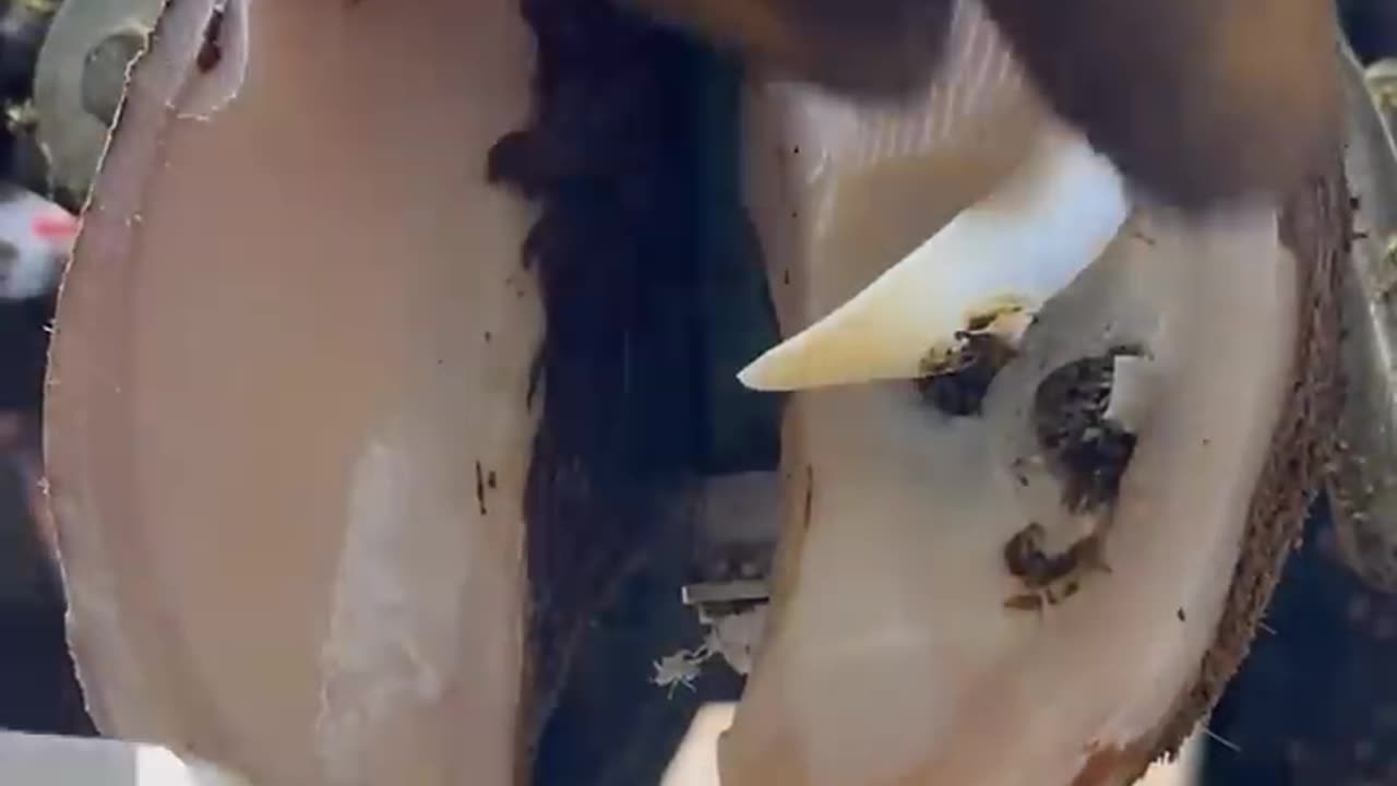 Sometimes you’re just so sure…#shortsfeed #oddlysatisfying #cleaning