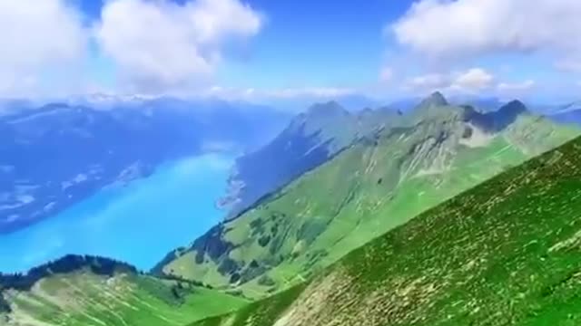 Watch this beautiful video