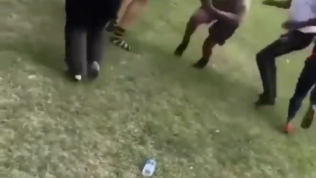 This looks fun 😂😂